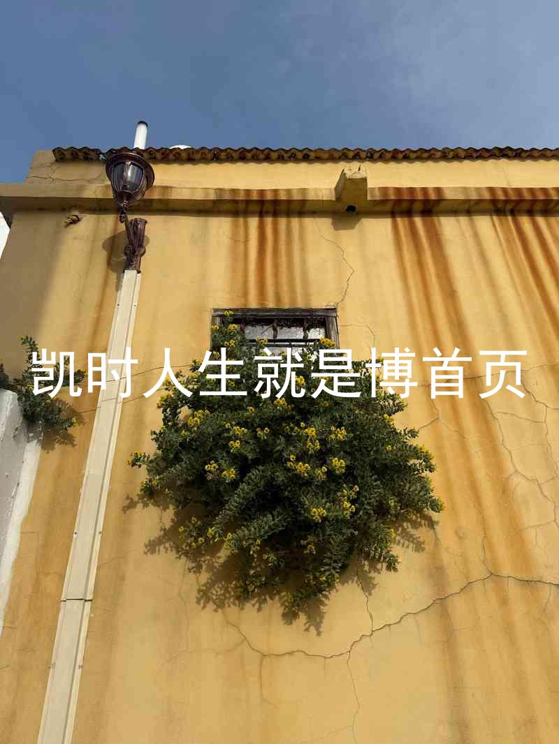 凯时人生就是博首页
